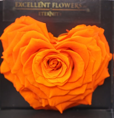 Heart rose: Orange Heart Shape Jumbo