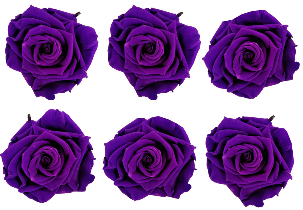 Medium: Dark Purple Preserved Rose *Box of 6 Preserved Rose Heads