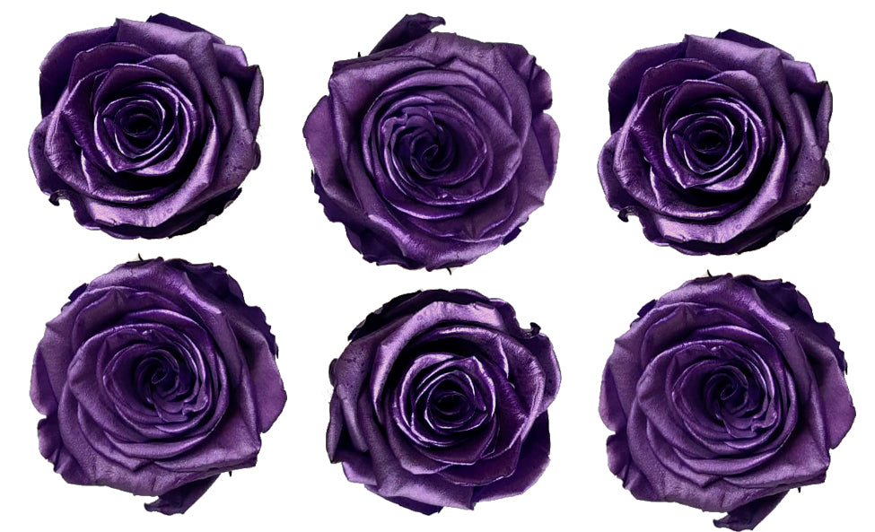 Medium: Purple Metallic Preserved Rose * Box of 6 Preserved Rose Heads