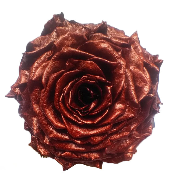 Jumbo rose: Metallic Bronze Jumbo Rose