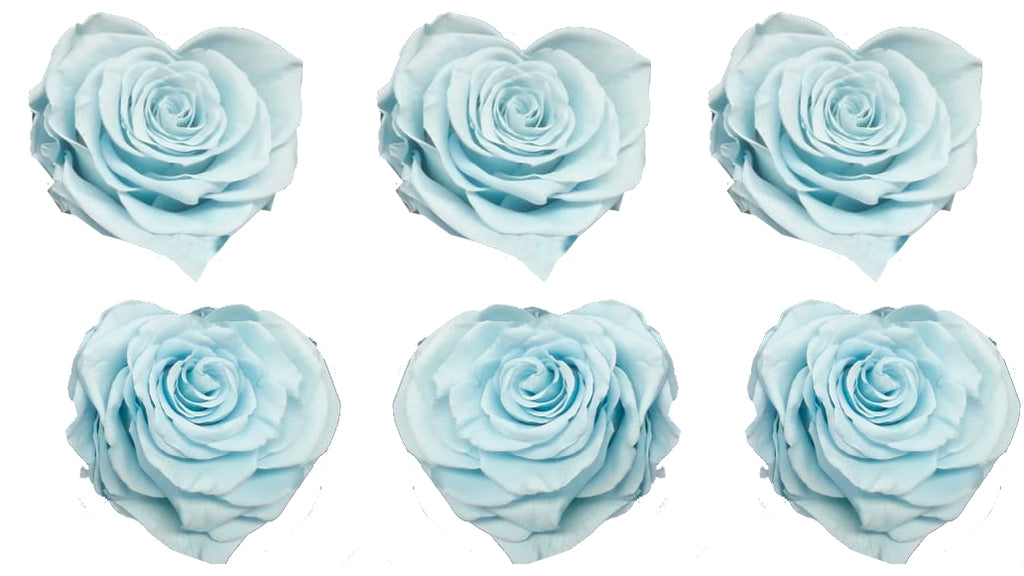 Large Heart: Baby Blue Heart Shape Preserved Rose *Box of 6 Preserved Rose Heart Heads