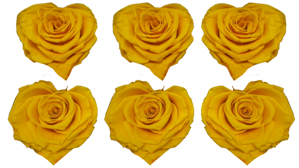 Large Heart: Sun Yellow Heart Shape Preserved Rose *Box of 6 Preserved Rose Heart Heads