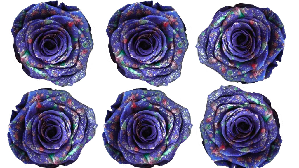 Medium: Purple Confetti Preserved Rose * Box of 6 Preserved Rose Heads