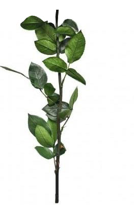 Preserved Rose 60 cm Stem Preserved Flowers Wholesale preserved world wide