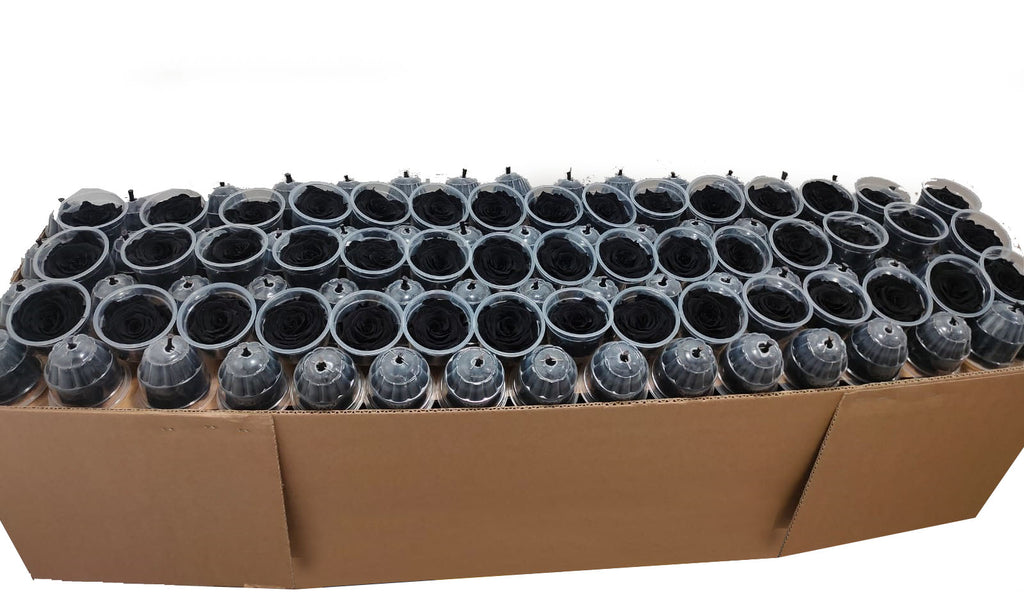 Bulk Box: Black Night Preserved Medium Rose *Box of 327 Preserved Rose Heads
