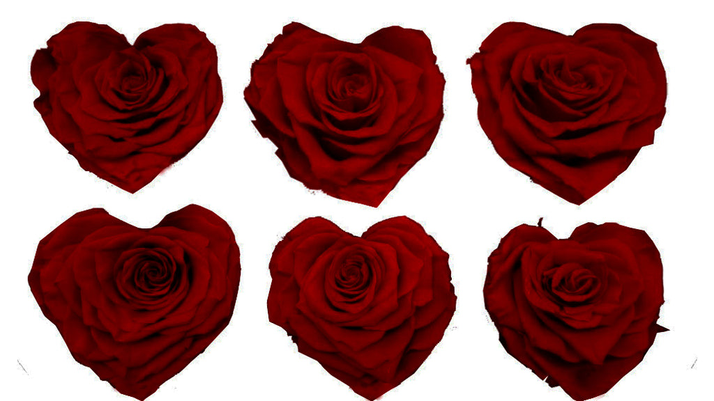 Large Heart: Dark Red Heart Shape Preserved Rose *Box of 6 Preserved Rose Heart Heads