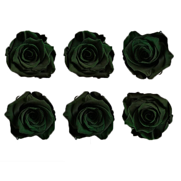 Medium: Forest green Preserved Rose * Box of 6 Preserved Rose Heads