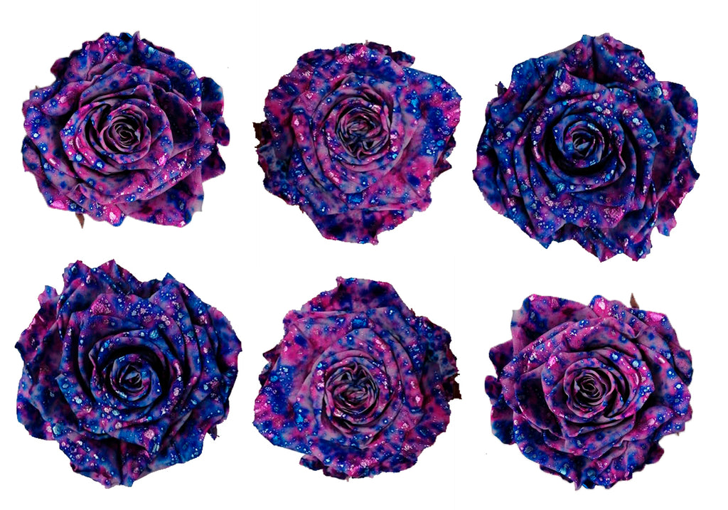 Medium: Lavender Confetti Preserved Rose * Box of 6 Preserved Rose Heads