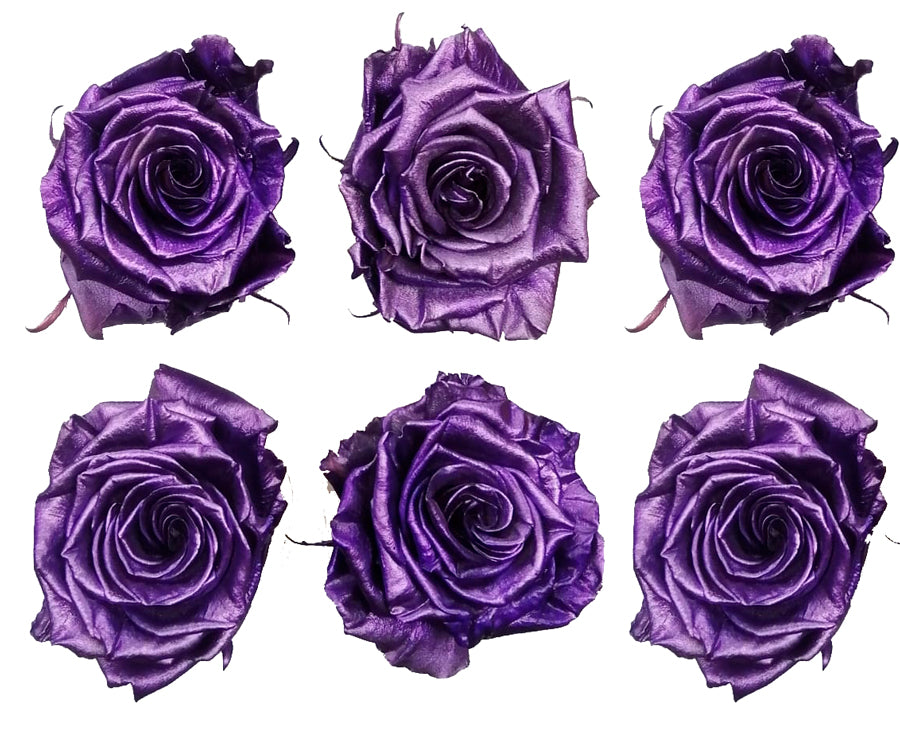 Medium: Lavender Metallic Preserved Rose * Box of 6 Preserved Rose Heads