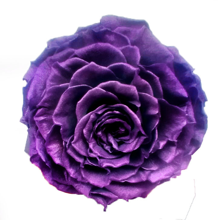 Jumbo rose: Metallic Lavender Jumbo Rose