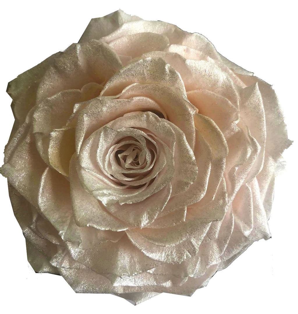 Jumbo rose: Metallic Pearl Baby Lavender Jumbo Rose