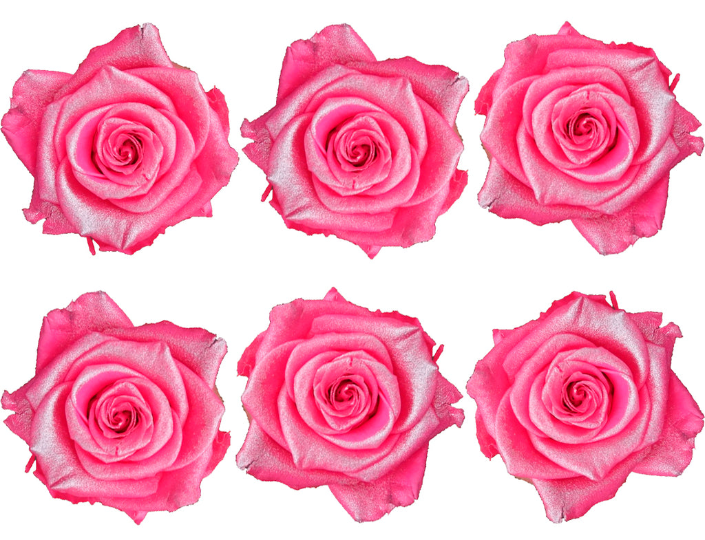 Medium: Pink Pearl Preserved Rose * Box of 6 Preserved Rose Heads