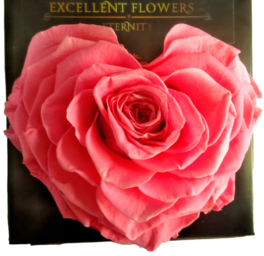 Heart rose: Pink Heart Shape Jumbo Preserved Rose