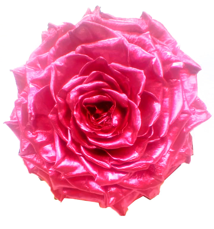 Jumbo rose: Metallic Pink Jumbo Rose