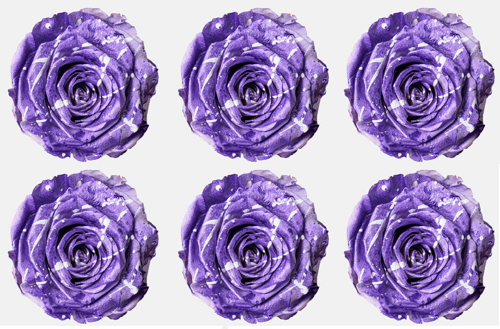 Medium: Lavender Festiva Preserved Rose * Box of 6 Preserved Rose Heads