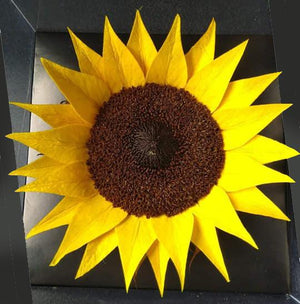 Preserved Sunflowers