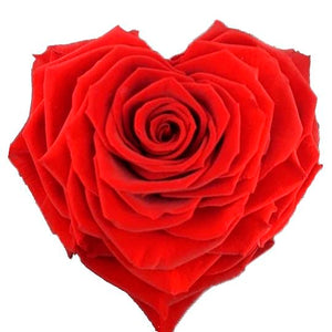 Heart Shape Jumbo Preserved Rose