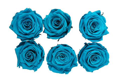 Preserved Roses Medium (Ready-to-Ship)