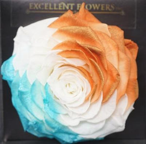 Tricolor Jumbo Preserved Roses