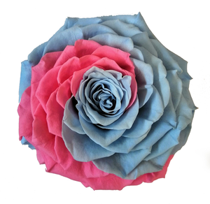 Bicolor Jumbo Preserved Roses