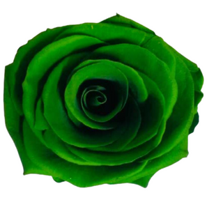 Jade Green Medium Preserved Roses (Prebook Only)