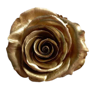 Metallic Gold Medium Preserved Roses (Prebook Only)