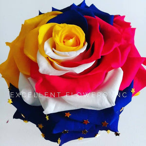 Jumbo rose: Specialty Jumbo 001