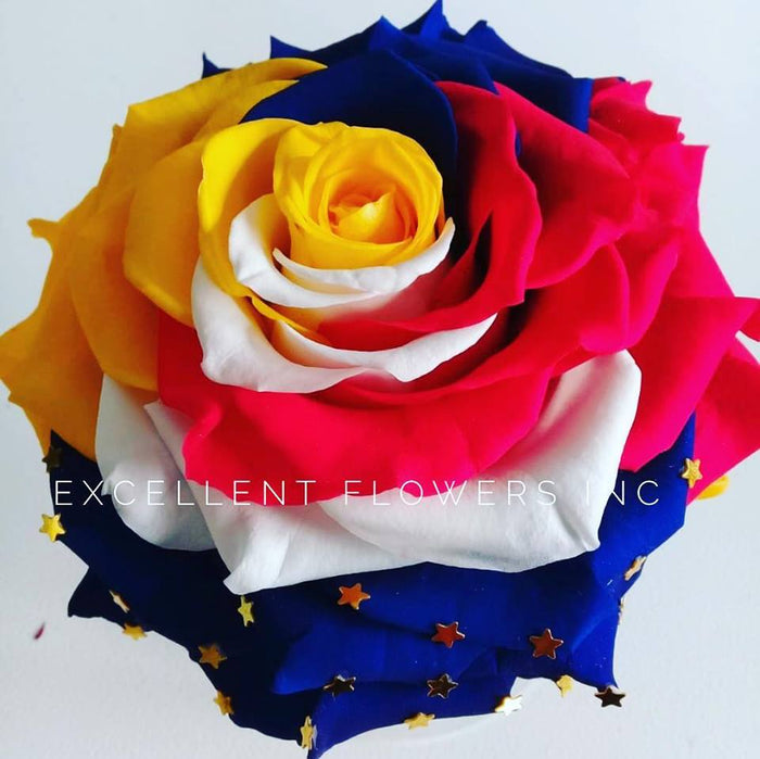 Jumbo rose: Specialty Jumbo 001