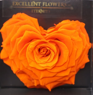 Heart rose: Orange Heart Shape Jumbo
