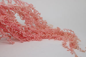 Amaranthus tears pink No water needed Wholesale Preserved Roses