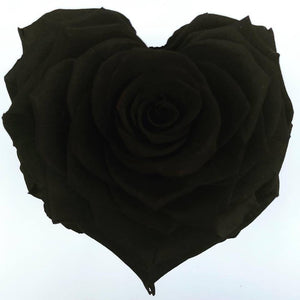 Black rose heart shape