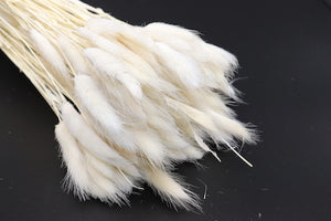 Stuff: Bunny tail white I 25 bunches pack