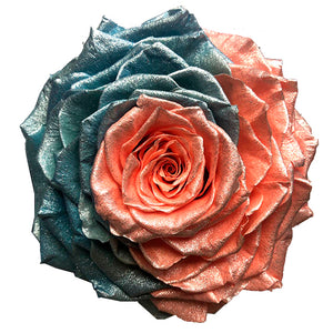 Jumbo rose: Pearl Coral Marine Blue Jumbo