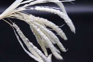 Stuff: Dog tail white I 30 bunches pack