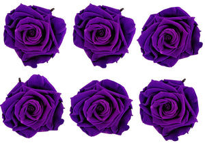 Large: Dark Purple Preserved Rose *Box of 6 Preserved Rose Heads