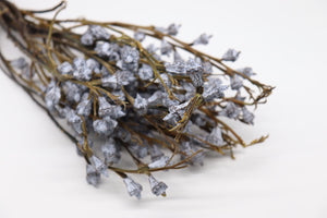 Stuff: Euka pods 500 gr I 20 bunches pack