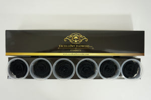 Medium: Black  Night Preserved Rose  * Box of 6 Preserved Rose Heads