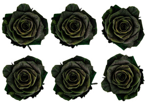 Medium: Forest Pearl Preserved Rose  *Box of 6 Preserved Rose Heads