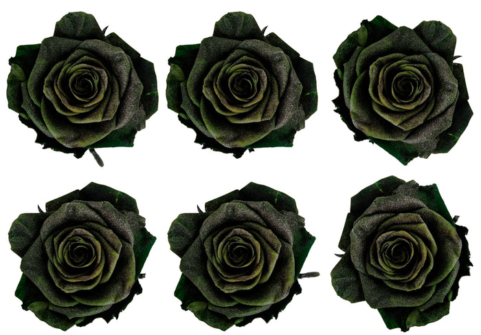 Medium: Forest Pearl Preserved Rose  *Box of 6 Preserved Rose Heads