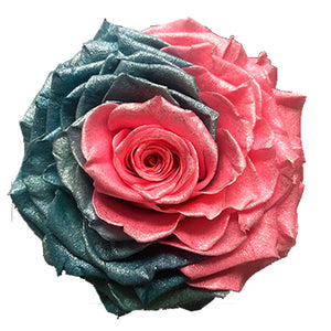 Jumbo rose: Pearl Fuchsia Marine Blue Jumbo Rose