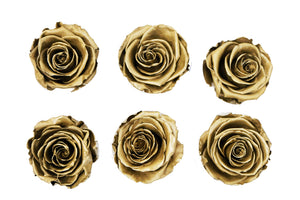 Large Golden roses