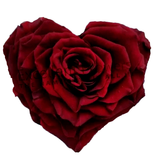 Heart rose: Dark Red  Heart shape preserved roses