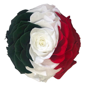 Jumbo rose: Mexico Tricolor Preserved Flag Rose
