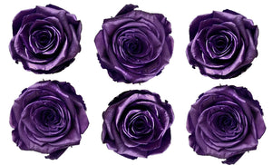 Medium: Purple Metallic Preserved Rose * Box of 6 Preserved Rose Heads