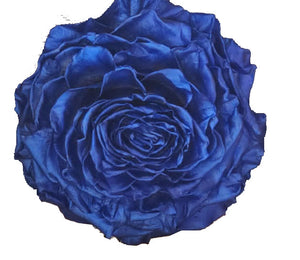 Jumbo rose: Royal Blue Metallic Jumbo