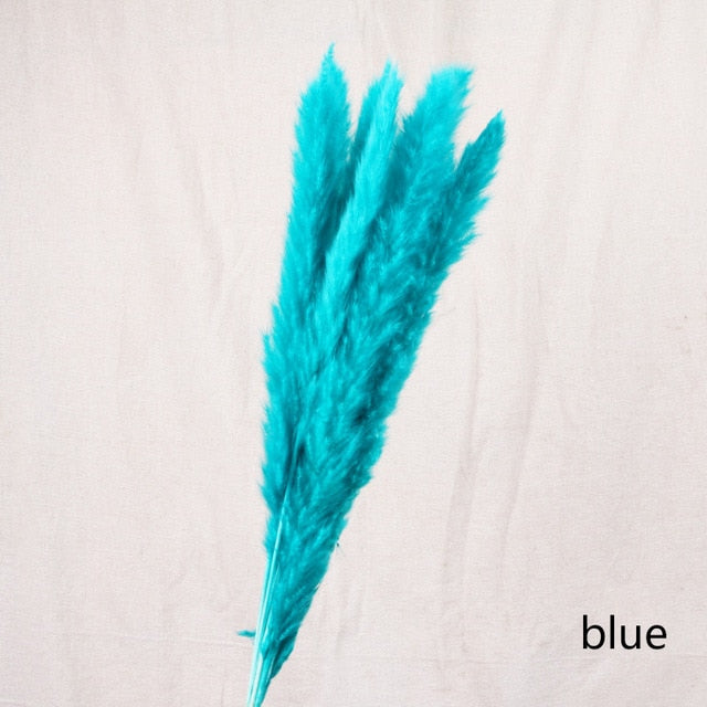 Pack of 5 - Blue Natural Preserved Pampa's Grass - $18.00