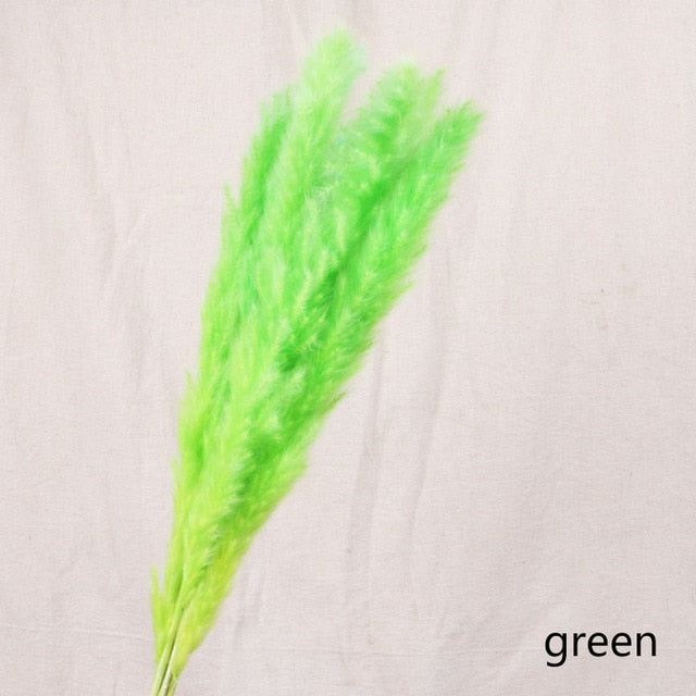 Pack of 5 - Green Natural Preserved Pampa's Grass - $18.00