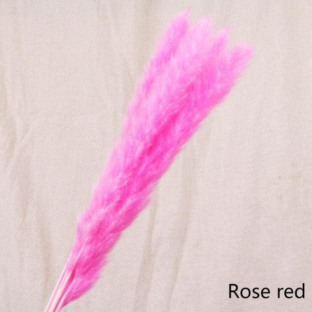 Pack of 5 - Rose Red Natural Preserved Pampa's Grass - $18.00