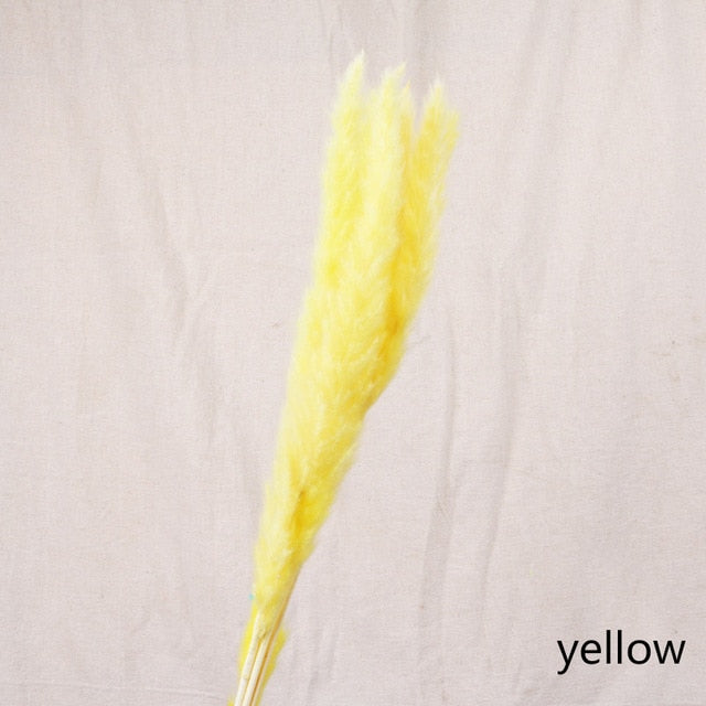 Pack of 5 - Yellow Natural Preserved Pampa's Grass - $18.00