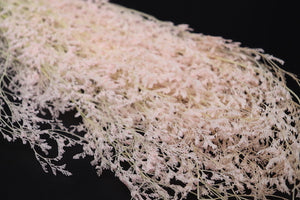 Stuff: Love Grass blush pink I 30 bunches pack
